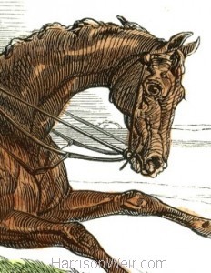 Detail: Cossack, winner of the Derby - by Harrison Weir