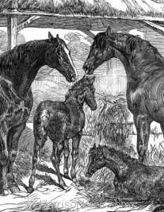 Detail: Prize Mares and Foals, Northamption, 1847
