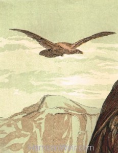 Detail: The Golden Eagle, by Harrison Weir