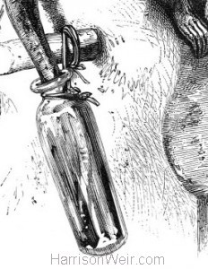 Detail: The Rat and the Oil-Bottle by Harrison Weir