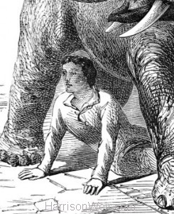 Detail: 1864 The Elephant and the Thief by Harrison Weir