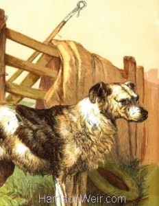 Detail: 1866 A Good Dog by Harrison Weir