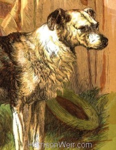 Detail: 1866 A Good Dog by Harrison Weir
