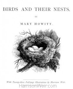 Title Page: Birds and Their Nests by Mary Howitt