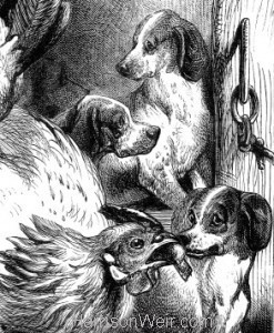 Detail: Hen feeding Pups by Harrison Weir