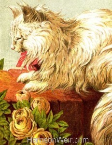 Detail: 1877 The Persian Cat by Harrison Weir