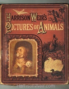 Book Cover: Harrison Weir's Pictures of Animals : The Religious Tract Society