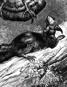 Detail: The Discontented Squirrel, by Harrison Weir
