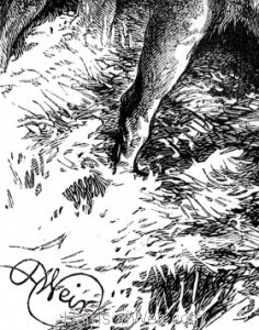 Detail: The Fallow-Deer, by Harrison Weir