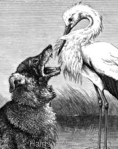 Detail: The Wolf and the Stork, by Harrison Weir