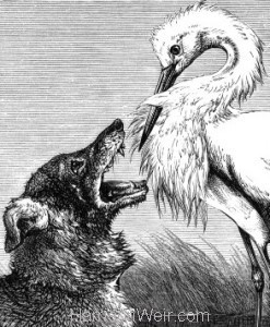 1878 The Wolf and the Stork, by Harrison Weir