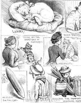 Detail: Sketches of the Cat Show at the Crystal Palace 1883
