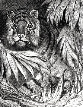 Detail: Tigress and Cubs, by Harrison Weir