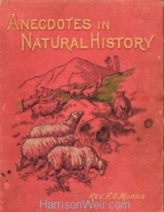 Book Cover: Anecdotes in Natural History by Rev F.O.Morris