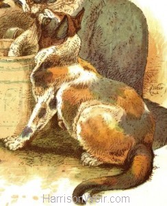 Detail: 1885 Dolly, Tommy & Brownie by Harrison Weir