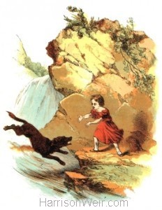 1847 Don rescues Malcom, by Harrison Weir