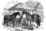 1847 Prize Mares and Foals, Northampton 1847 by Harrison Weir