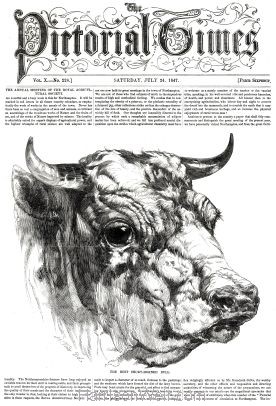 1847 Short Horn Bull by Harrison Weir