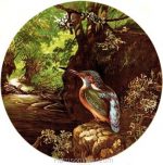 1864 The Kingfishers Haunt by Harrison Weir
