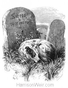 1866 A Faithful Mourner