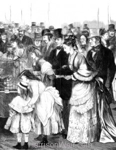 1874 The Crystal Palace Cat Show Admirers