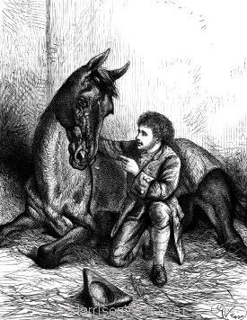 1876 The Irish Horse Tamer by Harrison Weir