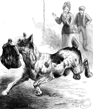 1878 A Dog Highway Robber, by Harrison Weir