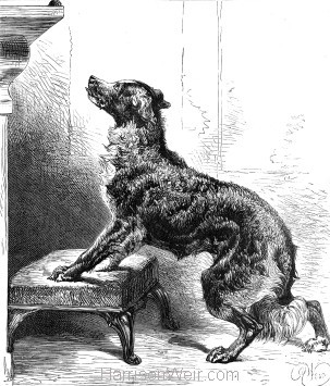 1878 A Dog's Instinct by Harrison Weir