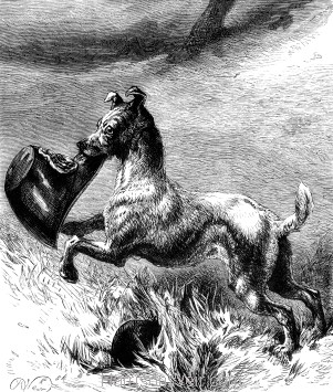 1878 A Faithful Dog, by Harrison Weir