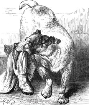 1878 An Intelligent Dog by Harrison Weir