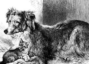 1878 – Bess and the Kitten