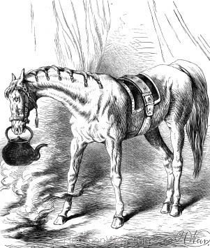 1878 Circus Horse at Astley's by Harrison Weir