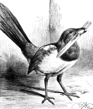 1878 Magpie and Knife, by Harrison Weir