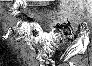 1878 – The Dog and the Breeches