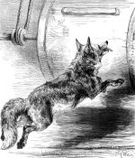 1878 The Sly Fox, by Harrison Weir