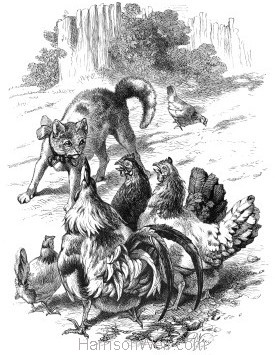 1870 Cat Protecting a poor Hen, by Harrison Weir