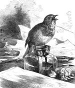 1882 Robin perched on the Ink-stand by Harrison Weir