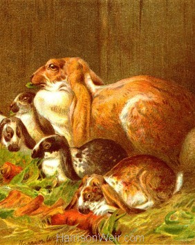 1882 Home Pets: Rabbits by Harrison Weir
