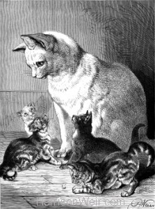 1891 Cat and Kittens, by Harrison Weir