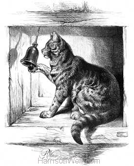 1871 Cat Ringing Door-Bell drawn by Harrison Weir