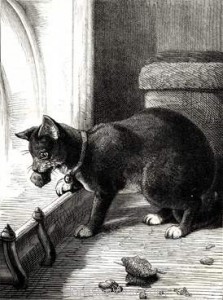 1877 A Clever Cat by Harrison Weir