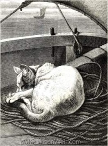 1877 Puss On A Voyage by Harrison Weir