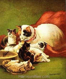 1877 Cat and Kittens by Harrison Weir