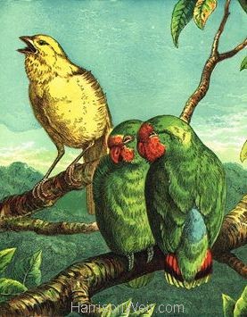 1872 Canary and Love Birds by Harrison Weir